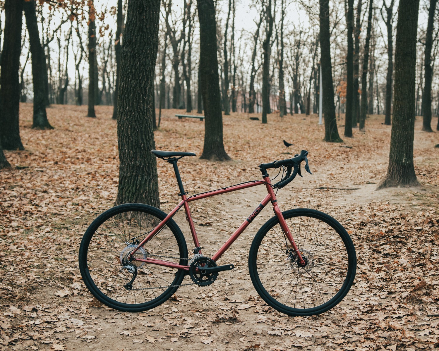 28" Pride Rocx Tour Frame - L 2022 Red Photo 3